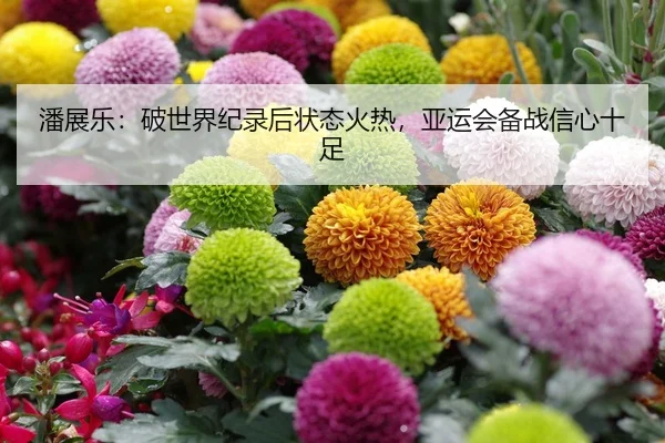 潘展乐：破世界纪录后状态火热，亚运会备战信心十足