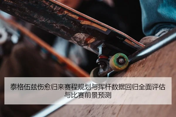 tai-ge-wu-zi-shang-yu-gui-lai-sai-cheng-gui-hua-yu-hui-gan-shu-ju-hui-gui-quan-mian-ping-gu-yu-bi-sai-qian-jing-yu-ce-2-746.jpg